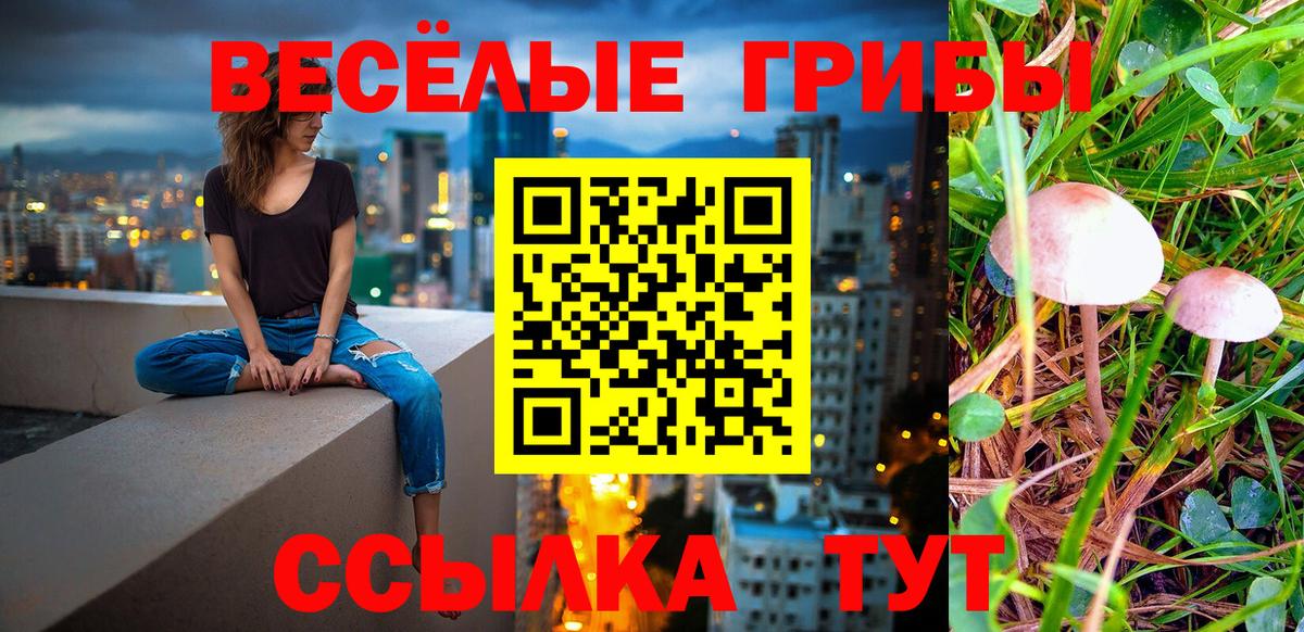 как найти наркотики  Вход с VPN  Назарово  Галлюциногенные грибы Magic Shrooms  Псилоцибиновые грибы GOLDEN TEACHER 